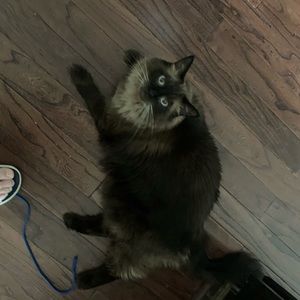 Meet your Posher, Crystal